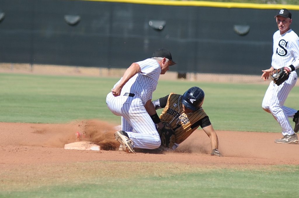 Seals_2017-10-12 (584).JPG - (c)2010 DeVetter